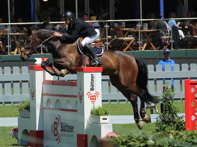 西媒：拉莫斯希望回欧洲主流联赛，他渴望回国家队参加世界杯